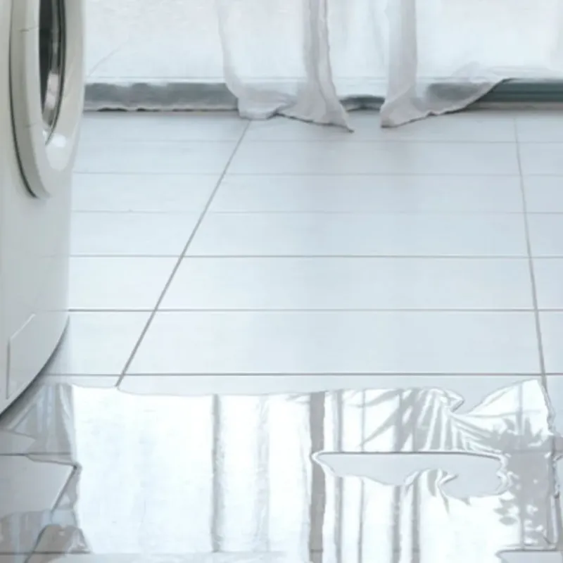 Appliance Leak Cleanup in Nashville, IN