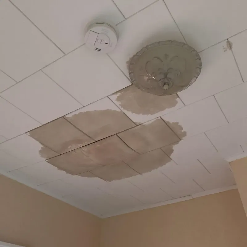 Ceiling Water Damage Repair in Nashville, IN