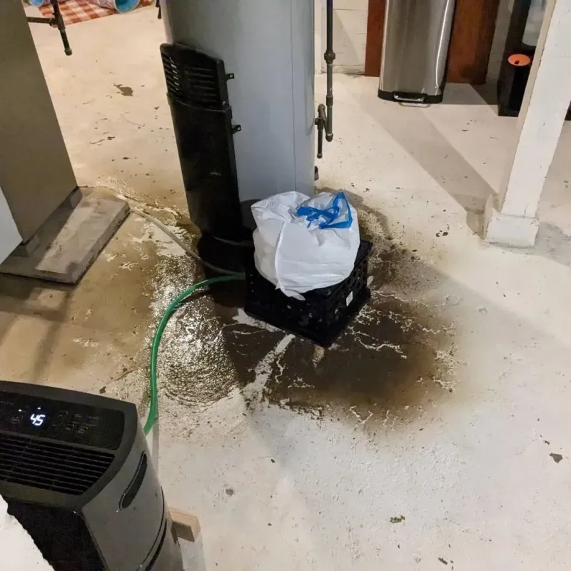 Sewage Backup Cleanup Service in Nashville, IN
